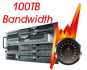 100TB Traffic Dedicated Servers